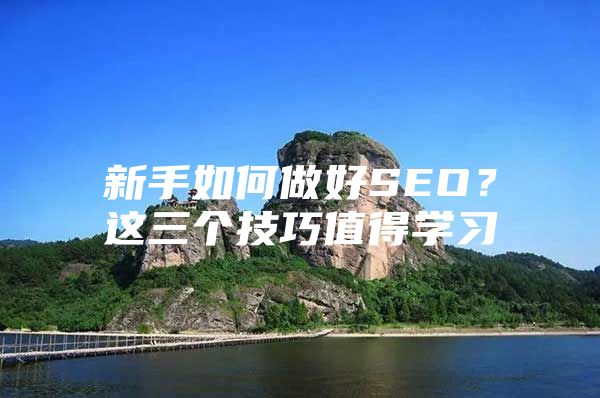 新手如何做好SEO？这三个技巧值得学习