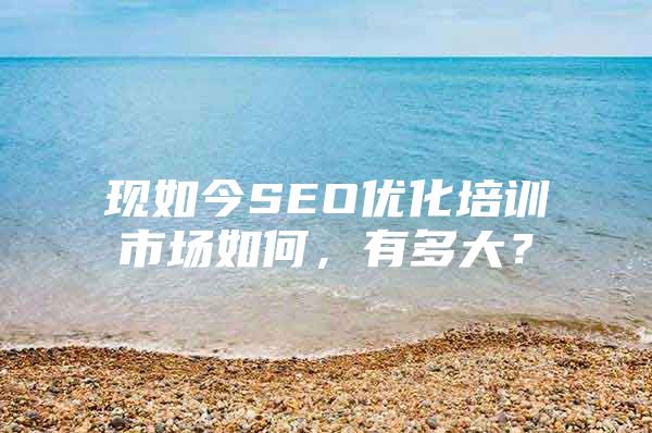 现如今SEO优化培训市场如何，有多大？