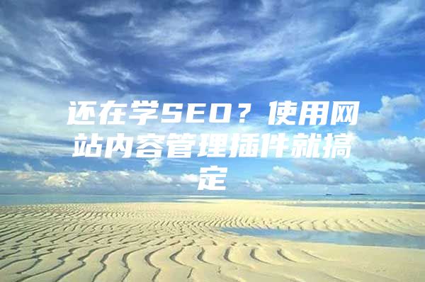 还在学SEO？使用网站内容管理插件就搞定