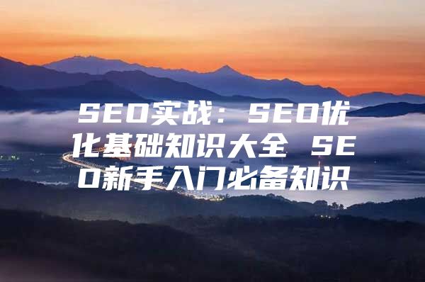 SEO实战：SEO优化基础知识大全 SEO新手入门必备知识