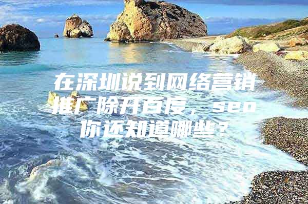 在深圳说到网络营销推广除开百度，seo你还知道哪些？