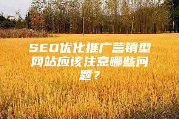 SEO优化推广营销型网站应该注意哪些问题？