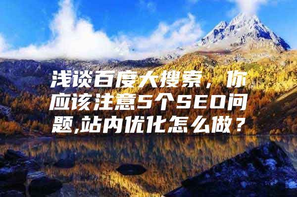 浅谈百度大搜索，你应该注意5个SEO问题,站内优化怎么做？