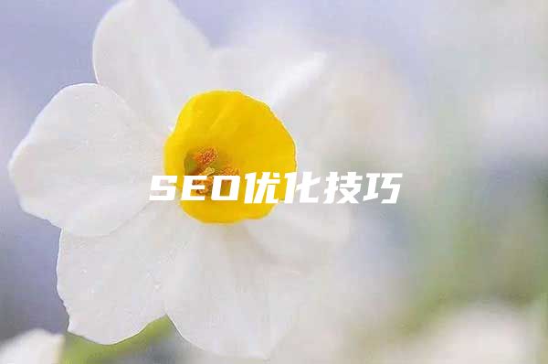 SEO优化技巧