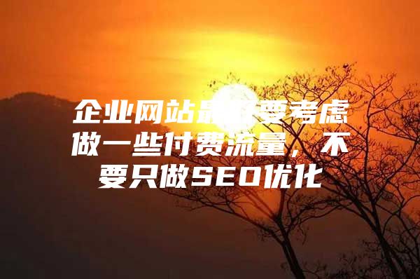 企业网站最好要考虑做一些付费流量，不要只做SEO优化