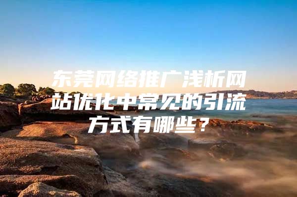 东莞网络推广浅析网站优化中常见的引流方式有哪些？