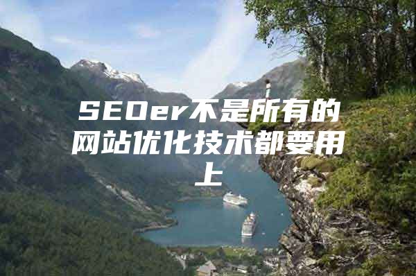 SEOer不是所有的网站优化技术都要用上