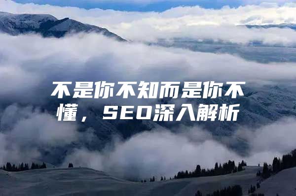 不是你不知而是你不懂，SEO深入解析