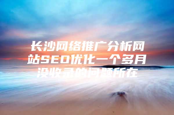 长沙网络推广分析网站SEO优化一个多月没收录的问题所在