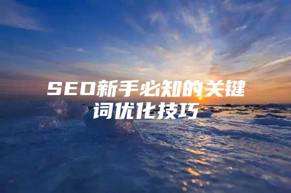 SEO新手必知的关键词优化技巧