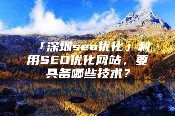 「深圳seo优化」利用SEO优化网站，要具备哪些技术？