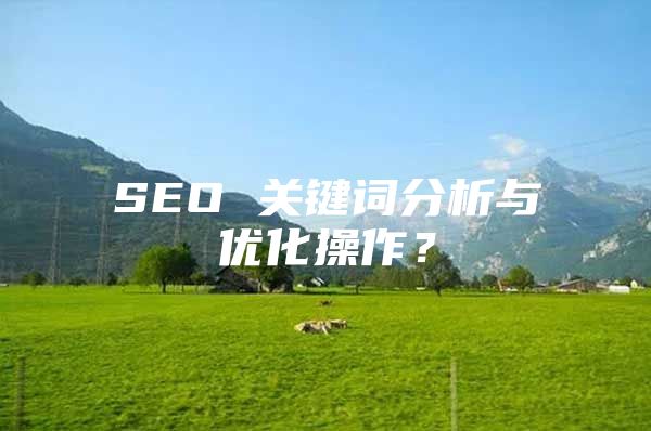 SEO 关键词分析与优化操作？