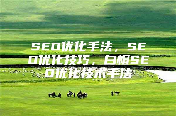 SEO优化手法，SEO优化技巧，白帽SEO优化技术手法