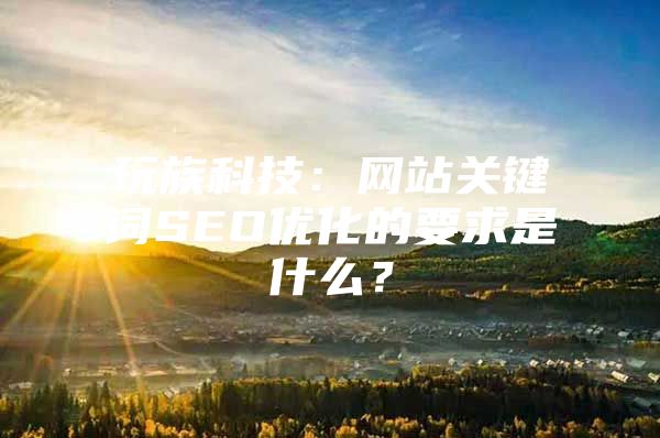 玩族科技：网站关键词SEO优化的要求是什么？