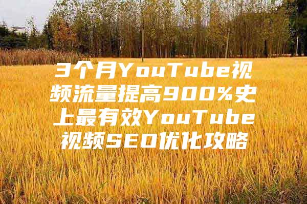 3个月YouTube视频流量提高900%史上最有效YouTube视频SEO优化攻略