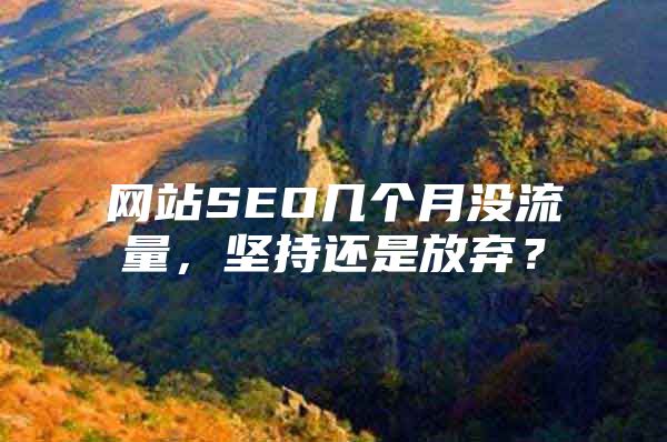 网站SEO几个月没流量，坚持还是放弃？