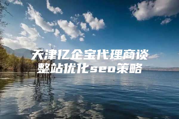 天津亿企宝代理商谈整站优化seo策略