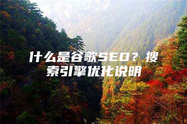 什么是谷歌SEO？搜索引擎优化说明