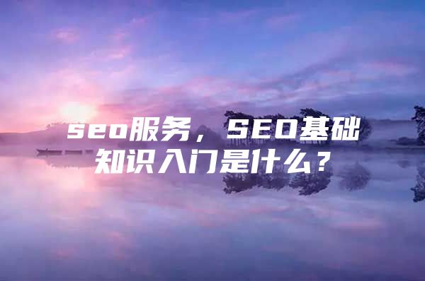 seo服务，SEO基础知识入门是什么？