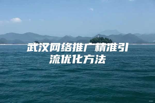 武汉网络推广精准引流优化方法