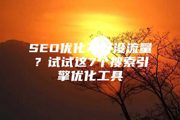 SEO优化不好没流量？试试这7个搜索引擎优化工具