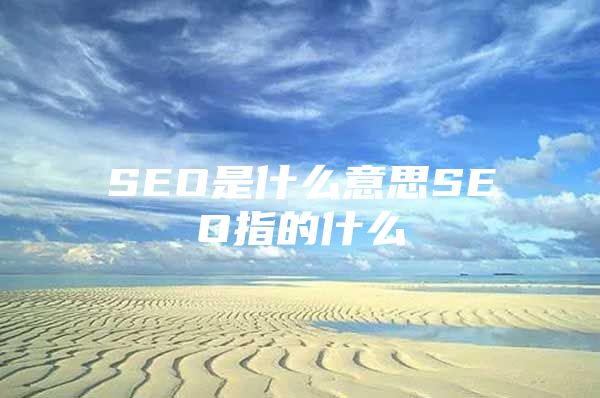 SEO是什么意思SEO指的什么