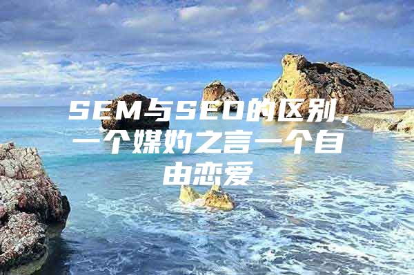 SEM与SEO的区别，一个媒妁之言一个自由恋爱