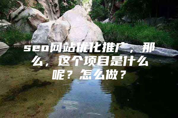 seo网站优化推广，那么，这个项目是什么呢？怎么做？