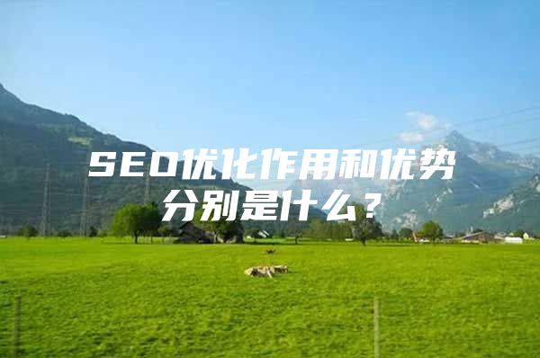 SEO优化作用和优势分别是什么？