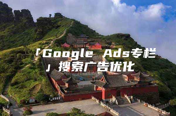 「Google Ads专栏」搜索广告优化