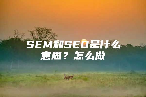 SEM和SEO是什么意思？怎么做