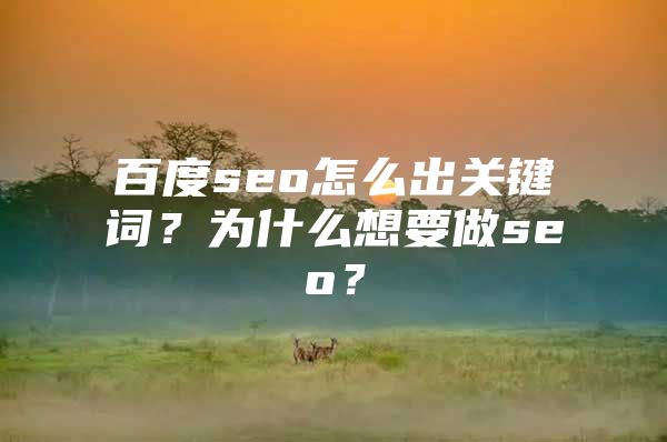 百度seo怎么出关键词？为什么想要做seo？