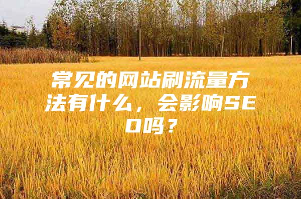 常见的网站刷流量方法有什么，会影响SEO吗？