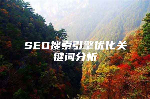 SEO搜索引擎优化关键词分析