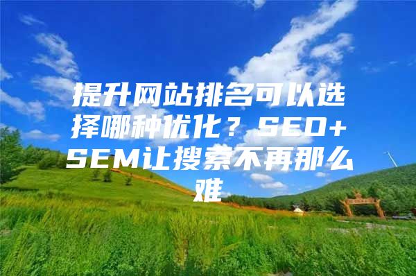 提升网站排名可以选择哪种优化？SEO+SEM让搜索不再那么难