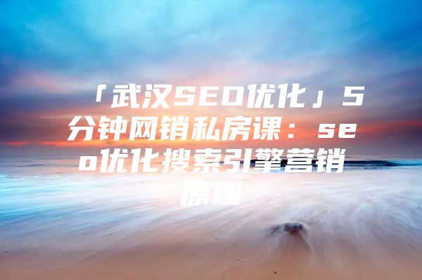 「武汉SEO优化」5分钟网销私房课：seo优化搜索引擎营销原理