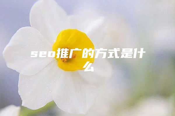 seo推广的方式是什么