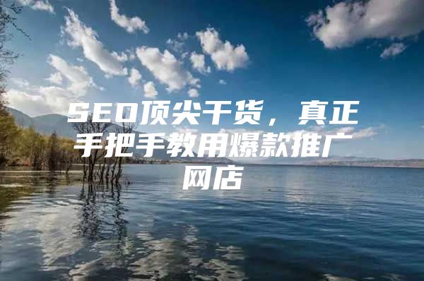 SEO顶尖干货，真正手把手教用爆款推广网店