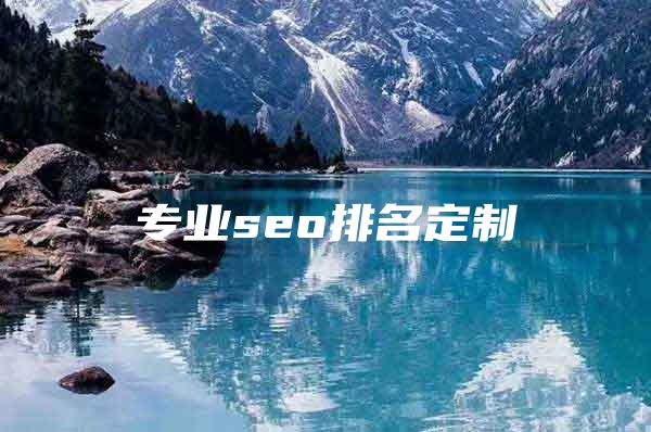 专业seo排名定制