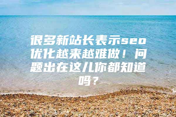 很多新站长表示seo优化越来越难做！问题出在这儿你都知道吗？